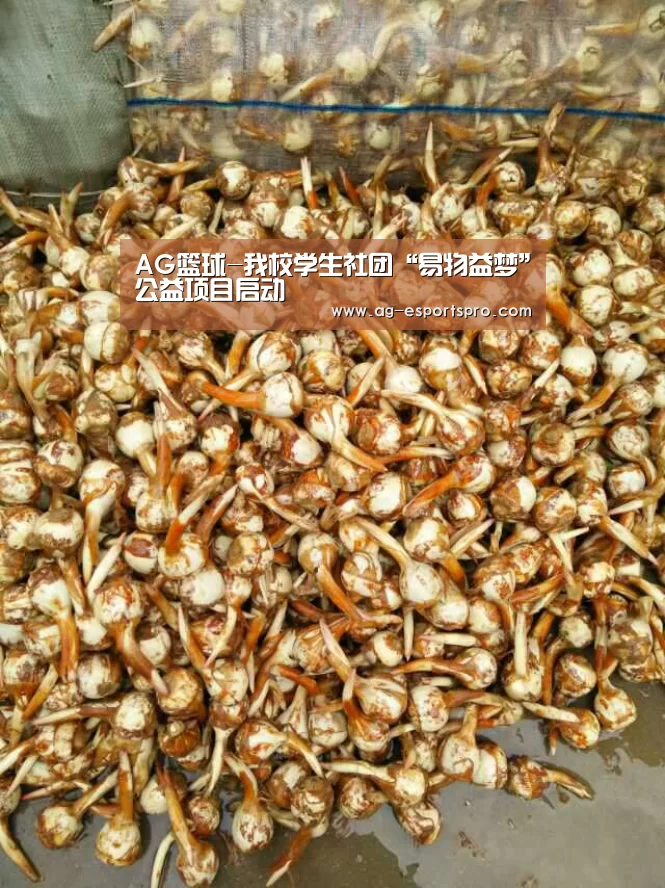 AG篮球-我校学生社团“易物益梦”公益项目启动(图2) AG足球