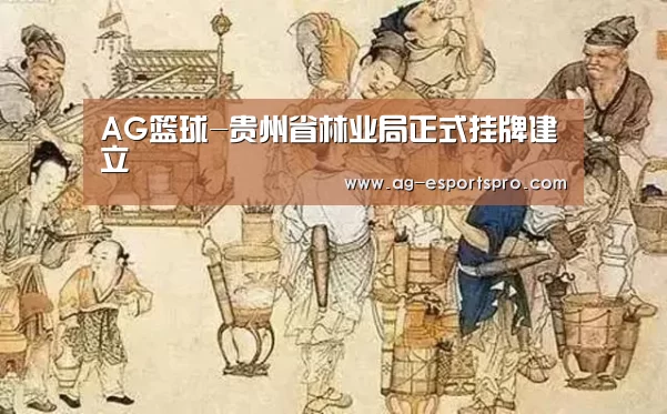 AG篮球