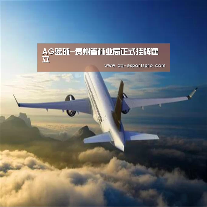 AG体育