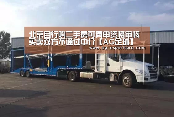 AG篮球