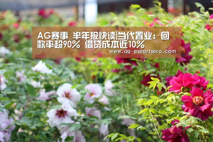 AG赛事_半年报快读|当代置业:回款率超90% 借贷成本近10%(图4) AG足球