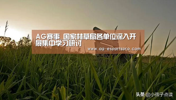 AG体育